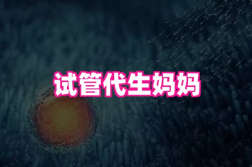swisee孕网 1