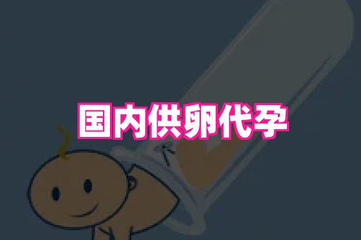 swisee孕网 2