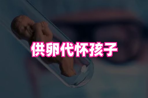 swisee孕网 3